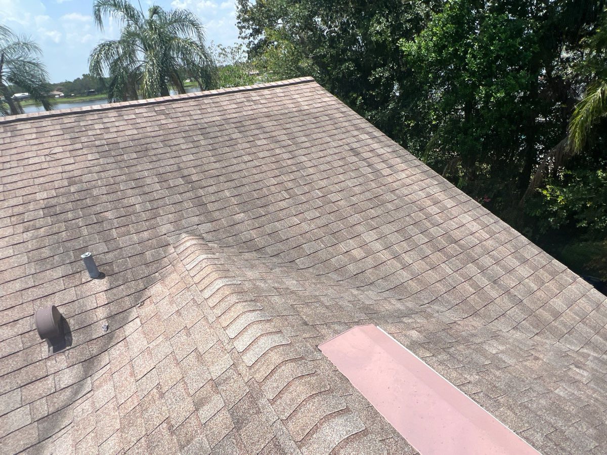 Aging asphalt shingle roof on a Florida home showing granule wear, with a lake and palm trees in the background