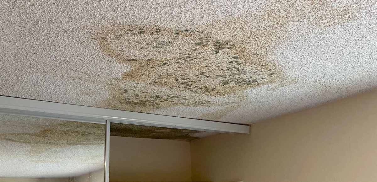Roof leak repair project