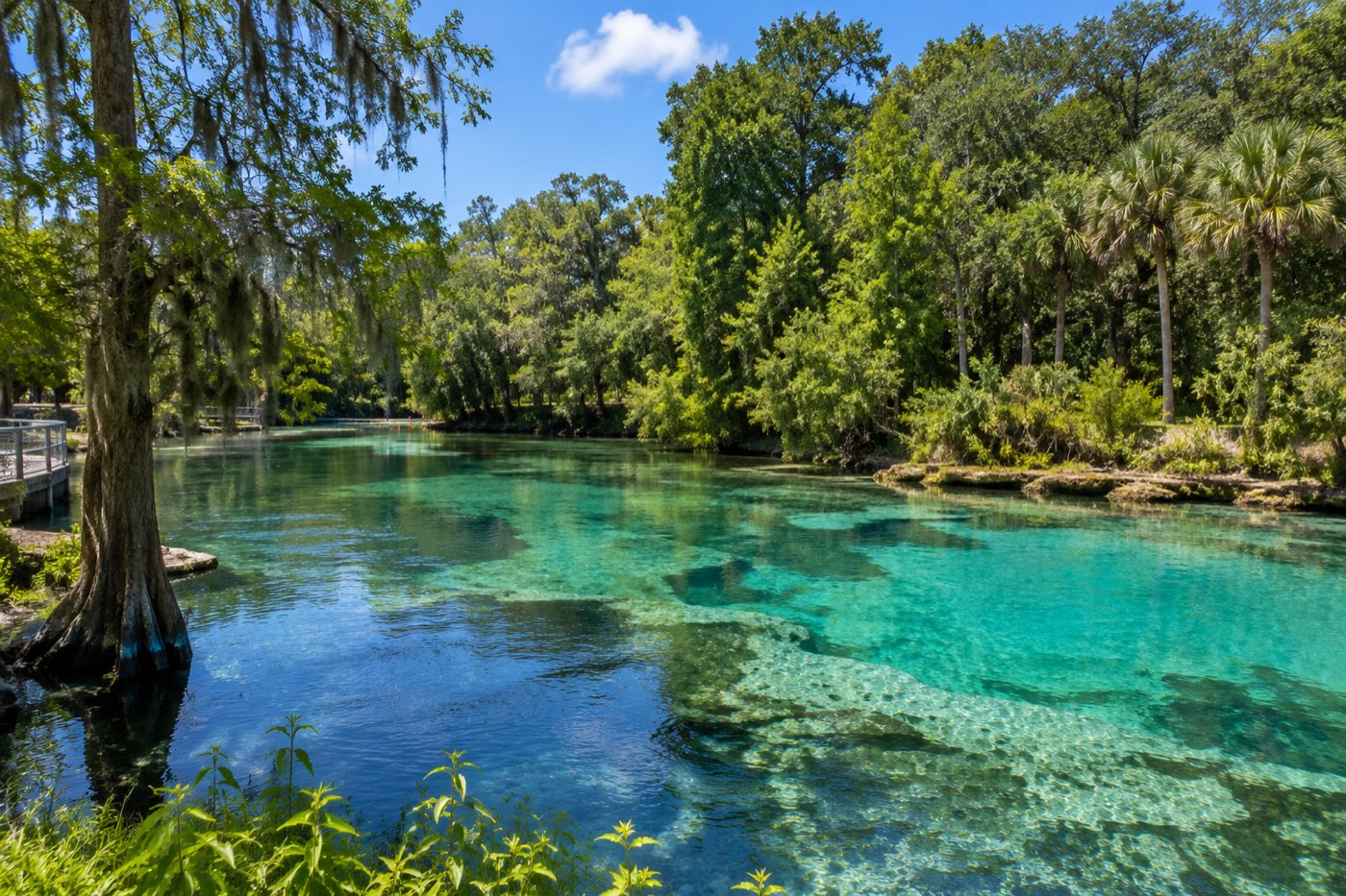 The clear spring-fed water of Weeki Wachee in Hernando County