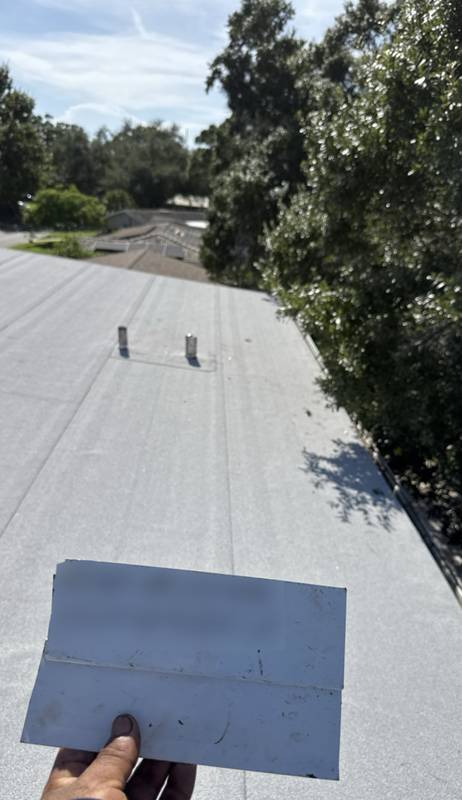 Gray low-slope roof surface with two vent pipes and trees beyond