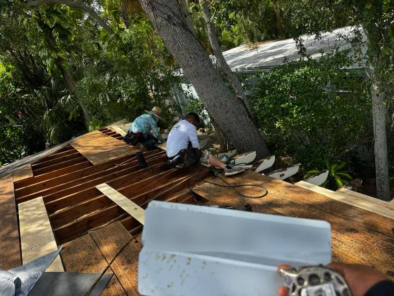 Crew installing new roof decking over exposed framing beneath large trees